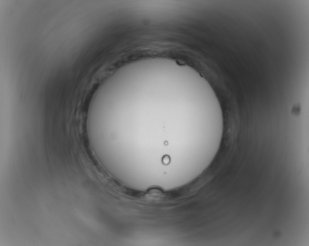 X0000113530758200909180959
