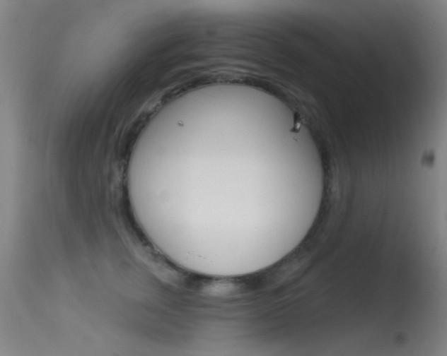 X0000113530759200909180959