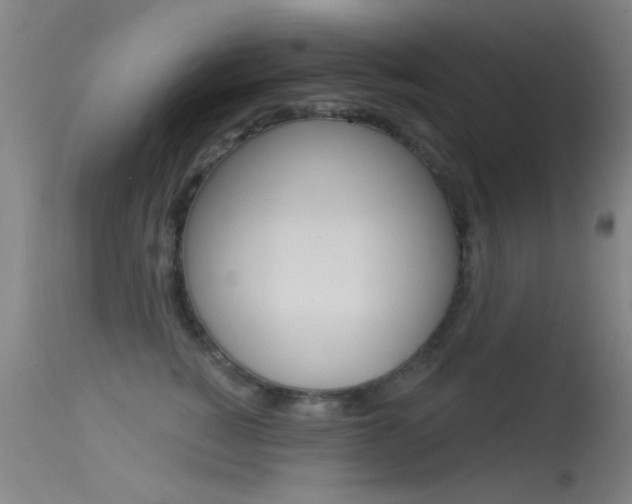 X0000113530760200909181000