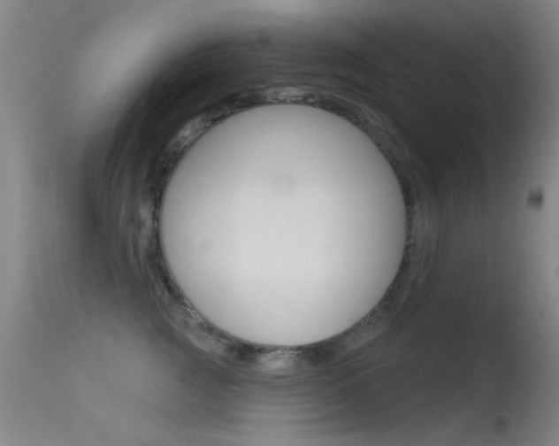 X0000113530761200909181000