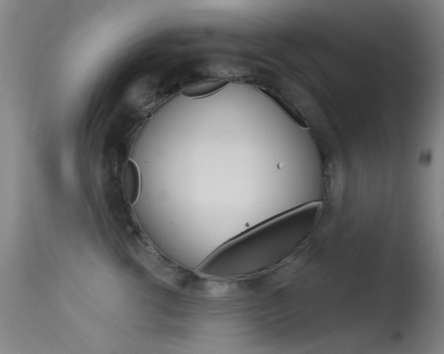 X0000113530762200909181000
