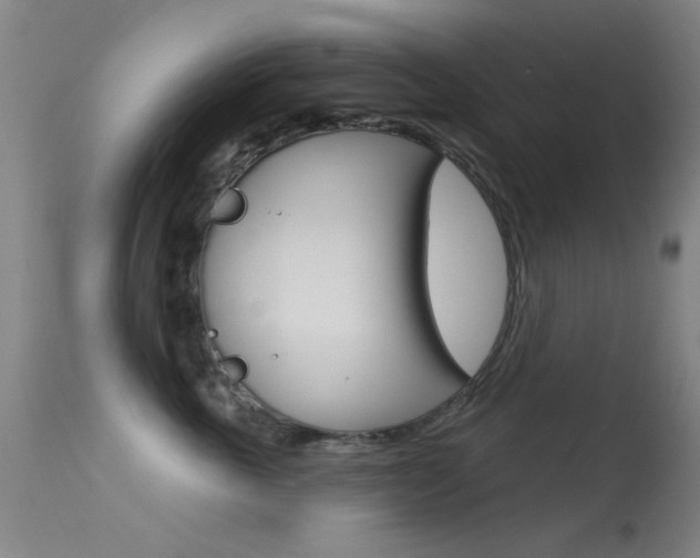 X0000113530763200909181000