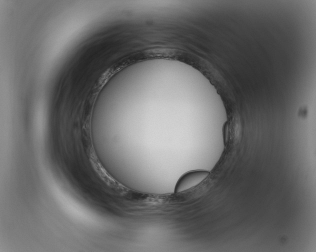 X0000113530764200909181000