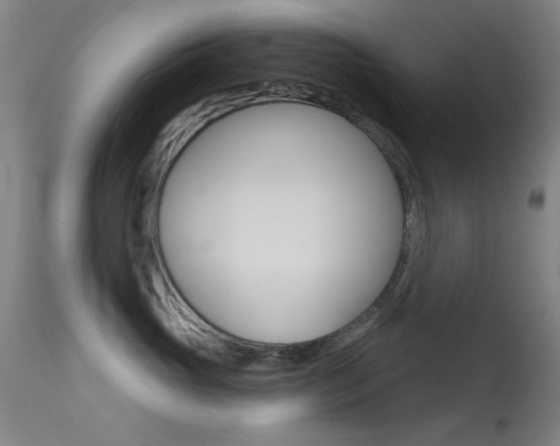 X0000113530765200909181000
