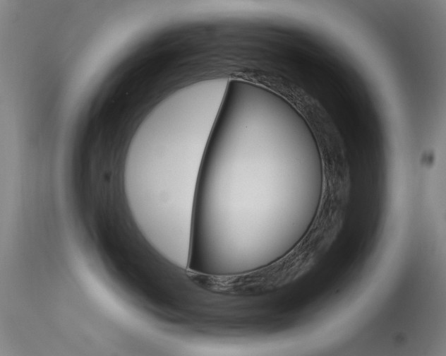 X0000113530766200909181000