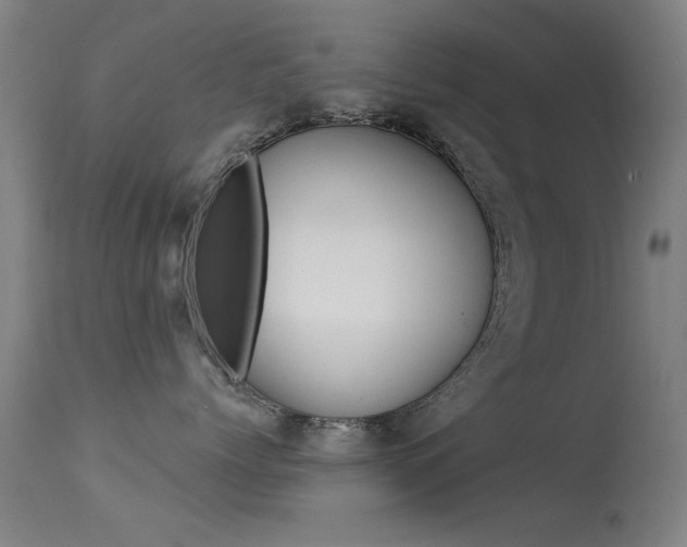 X0000113530768200909181000