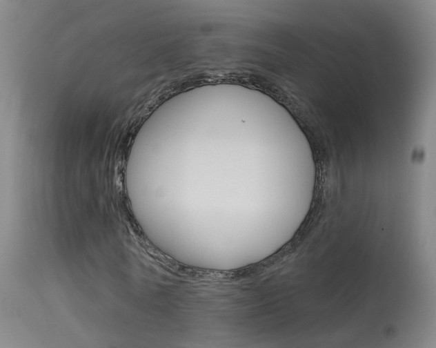 X0000113530770200909180959