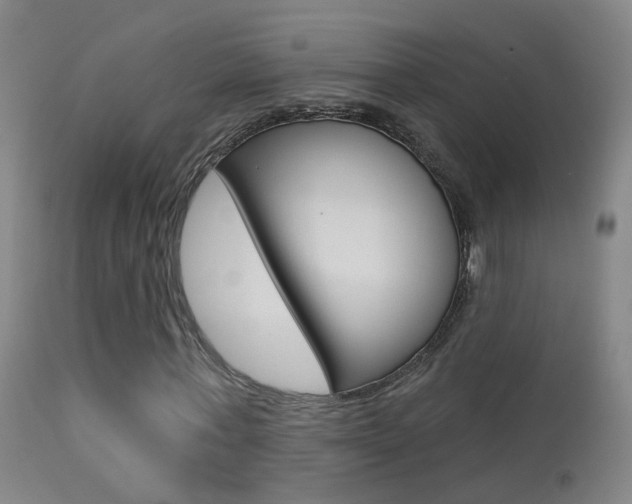 X0000113530771200909180959