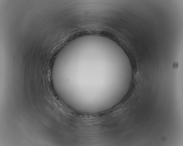 X0000113530772200909180959