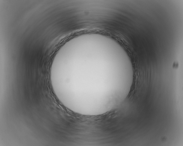 X0000113530773200909180959