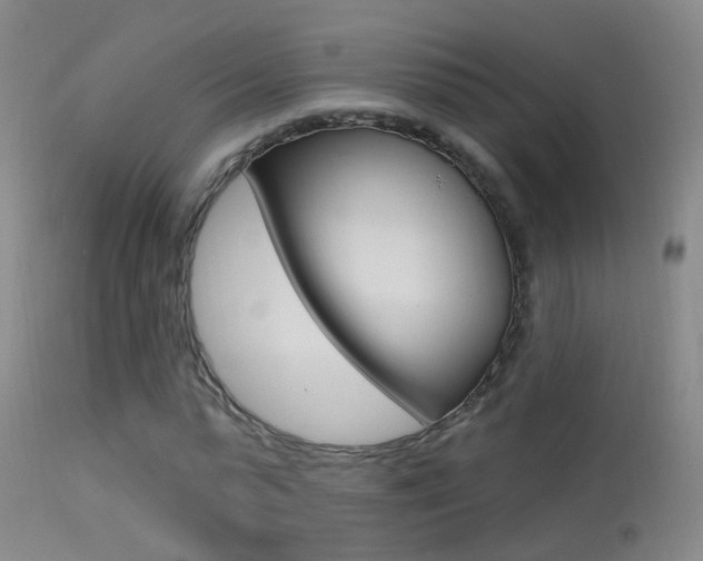 X0000113530775200909180959