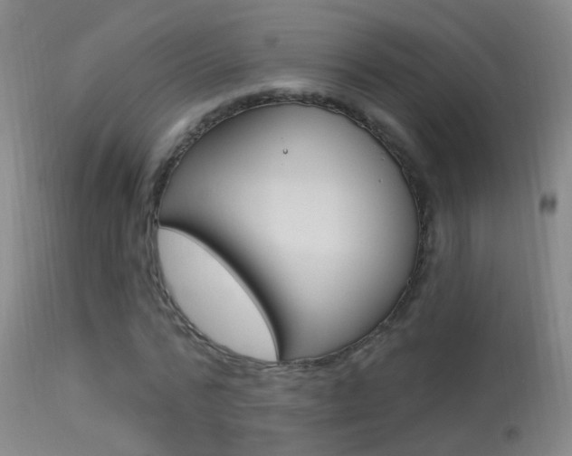X0000113530776200909180959
