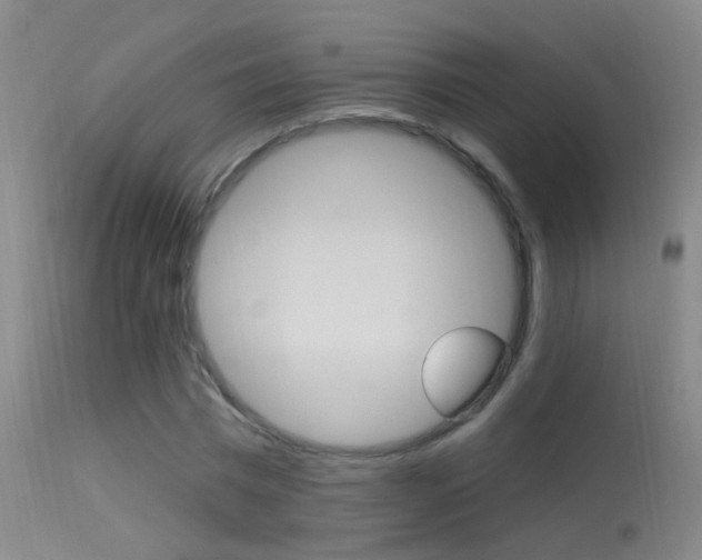 X0000113530777200909180959