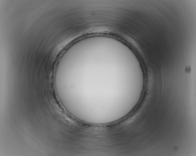 X0000113530778200909180959