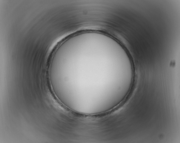 X0000113530779200909180959