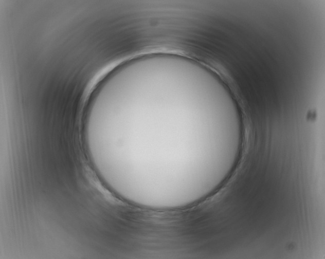 X0000113530780200909180959