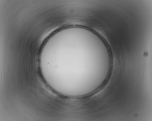 X0000113530782200909180959