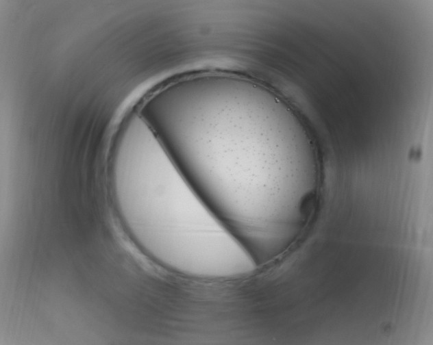 X0000113530784200909180959