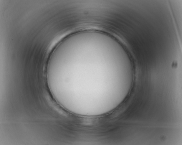 X0000113530790200909180959