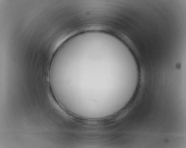 X0000113530794200909180959