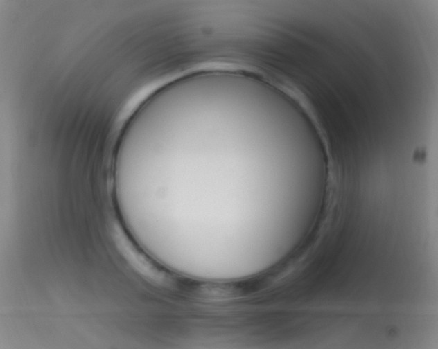 X0000113530795200909180959