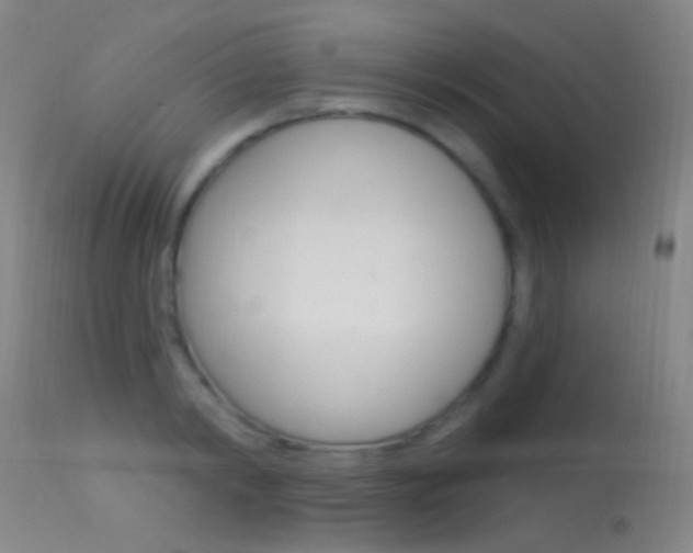 X0000113530798200909180959