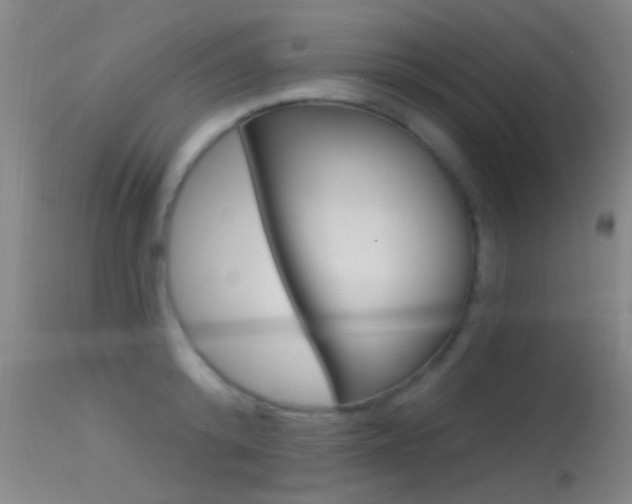 X0000113530800200909180959