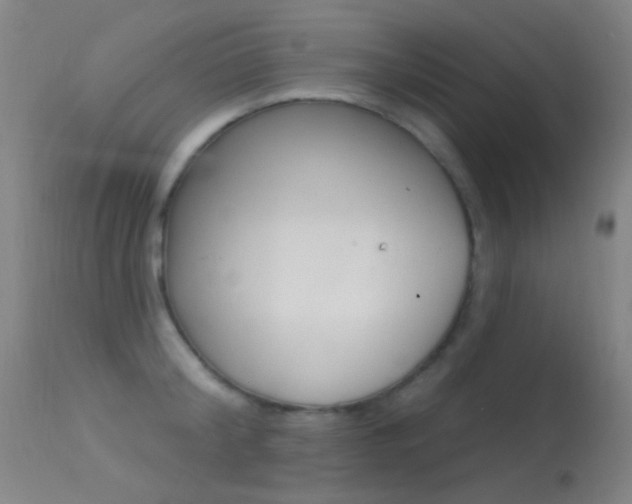 X0000113530804200909180958