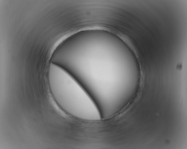 X0000113530805200909180958