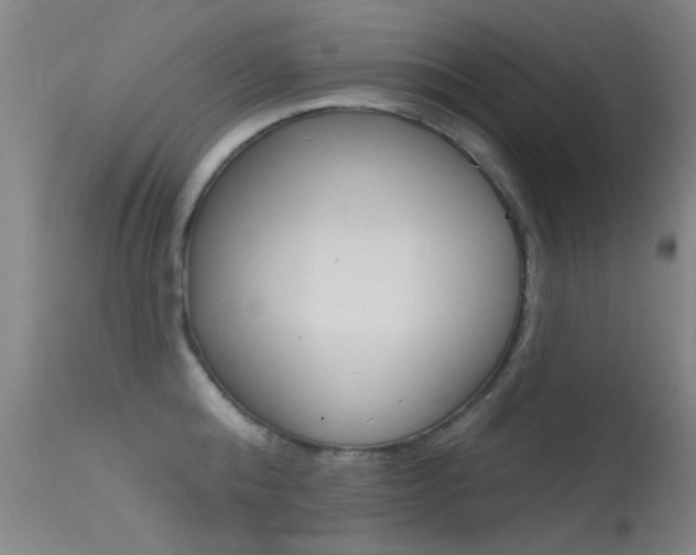 X0000113530808200909180958