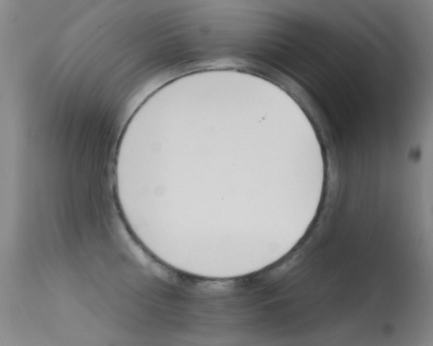 X0000113530810200909180958