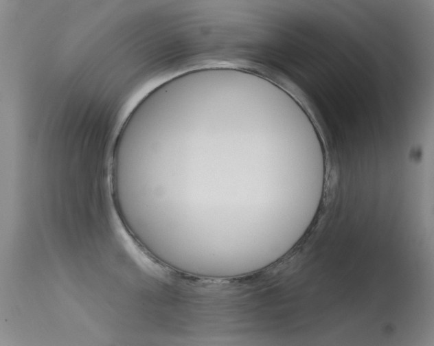 X0000113530811200909180958