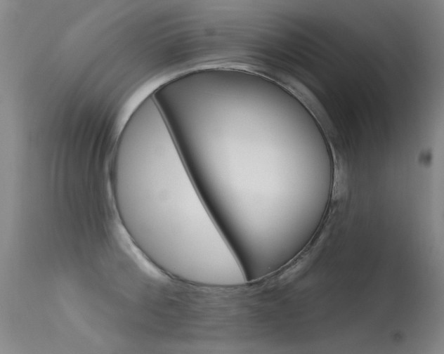 X0000113530812200909180958