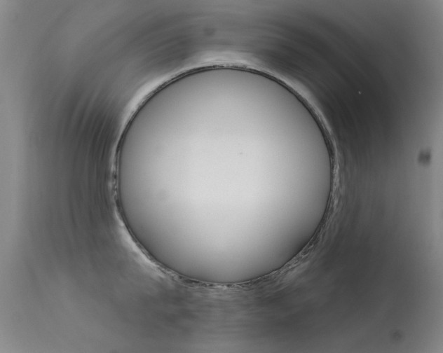 X0000113530815200909180958
