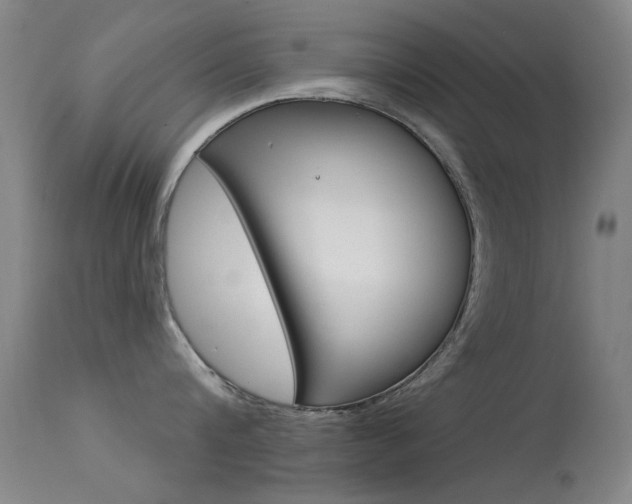 X0000113530816200909180958