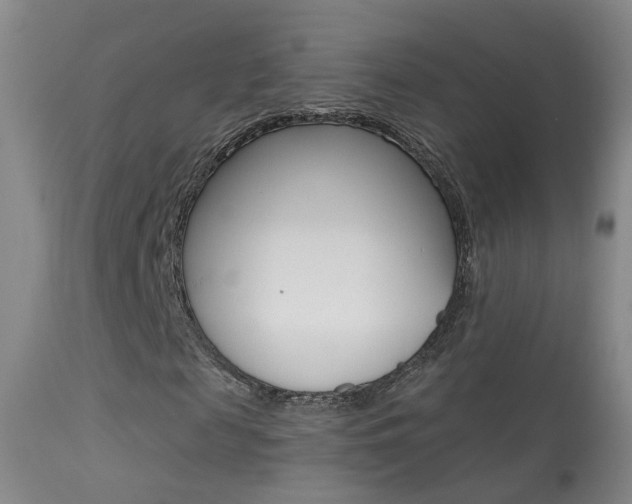 X0000113530817200909180957
