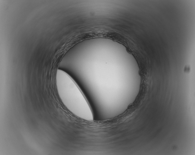 X0000113530818200909180957