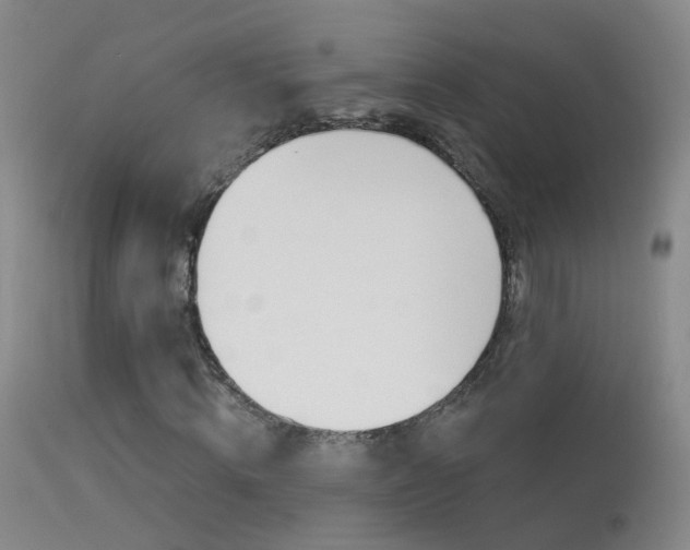 X0000113530820200909180958