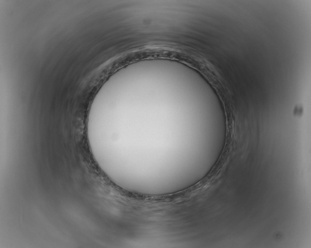 X0000113530821200909180958