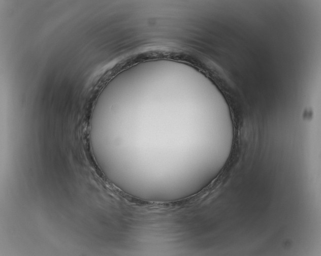 X0000113530822200909180958