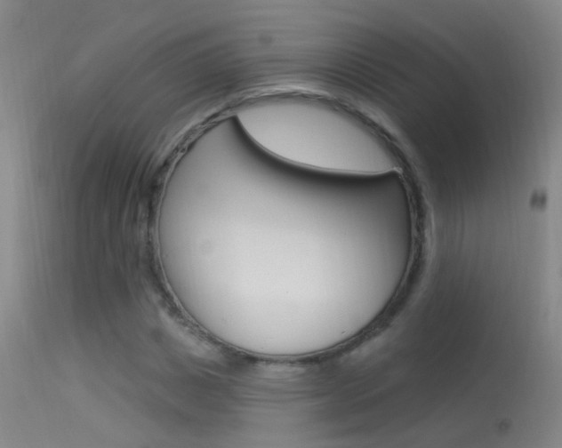 X0000113530825200909180958