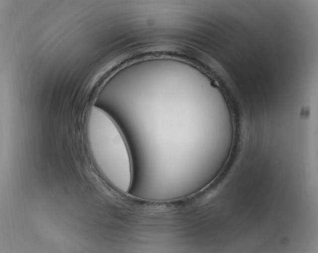 X0000113530826200909180958