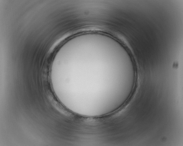 X0000113530827200909180958