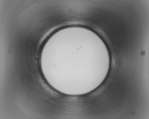 X0000113530828200909180958