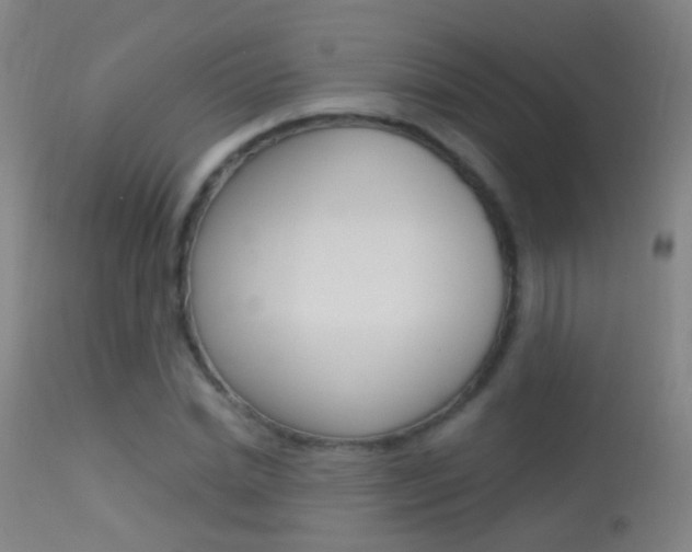 X0000113530830200909180958