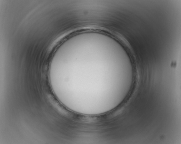 X0000113530831200909180958