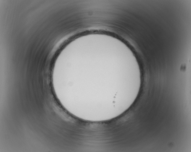 X0000113530832200909180958