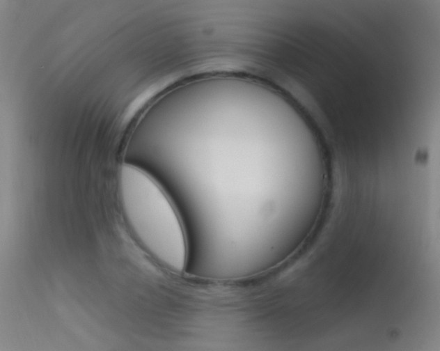 X0000113530834200909180958