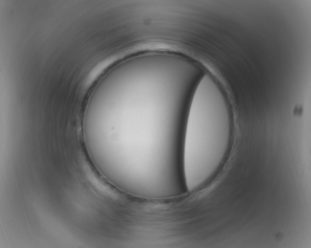 X0000113530837200909180958