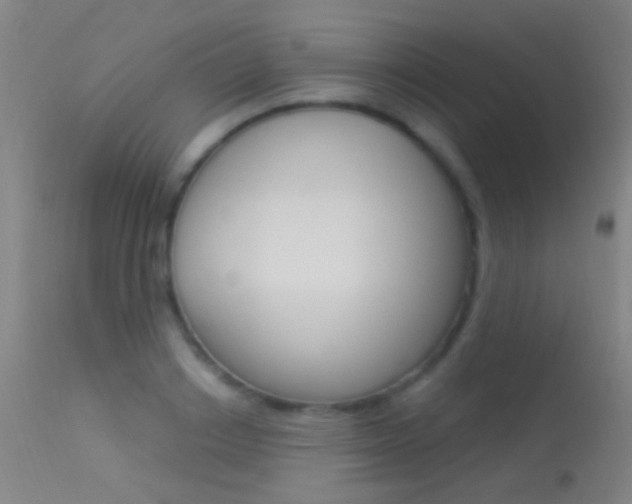 X0000113530842200909180958